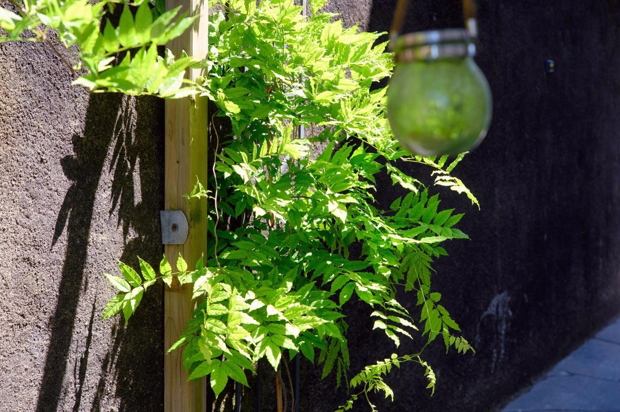 Wisteriaroom كومو المظهر الخارجي الصورة